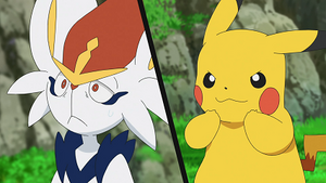 LV056 - Pyrobut de Goh et Pikachu de Sacha.png