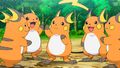 ► Raichu (sauvages)