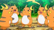 ► Raichu(sauvages)