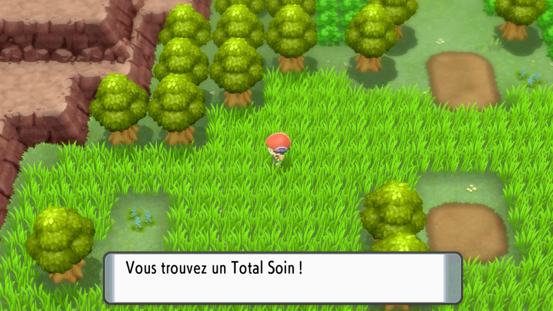 Fichier:Route 210 Total Soin DEPS.png