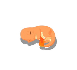 Sprite 0004 Dodo 1 Sleep.png