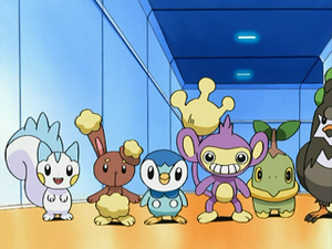DP033 - Pachirisu et Laporeille d'Aurore.png