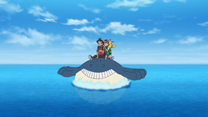 LV110 - Wailmer.png