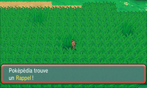 Route 120 Rappel ROSA.png