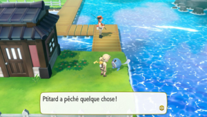 Route 12 Perle LGPE.png