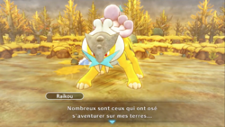 L'équipe face à Raikou.
