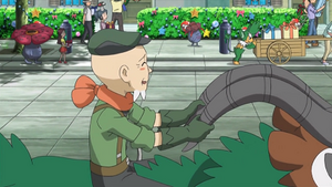 XY059 - Feuiloutan d'un Dresseur.png