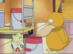 Chronicles 18 - Psykokwak et Togepi d'Ondine.png