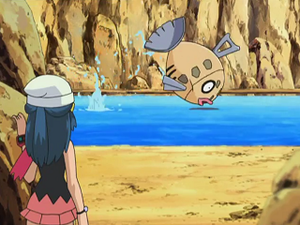 DP140 - Barpau.png