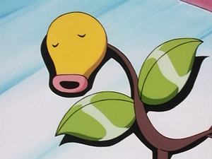 EP129 - Chétiflor (Flash-back).png