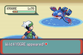 Combat contre Kyogre