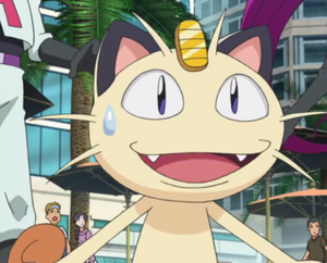Miaouss Film 18.png