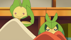 NB038 - Couverdure de Sacha.png