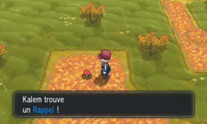 Route 15 Rappel XY.png
