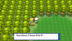 Route 209 Sceau Éclair B DEPS.png