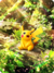 Couverture - Puissance Génétique : Pikachu