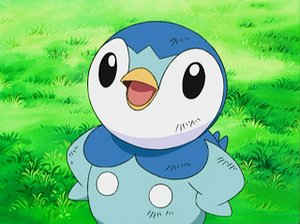 DP003 - Tiplouf d'Aurore.png
