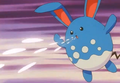 Azumarill (d'un Dresseur)