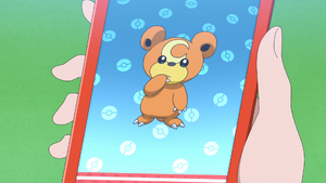 LH047 - Teddiursa Pokédex.png