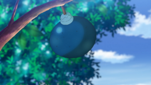 LH106 - Baie Oran.png