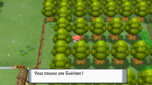 Rive du Lac Courage Guérison DEPS.png