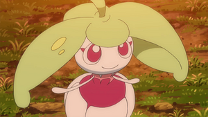 SL039 - Candine de Barbara.png
