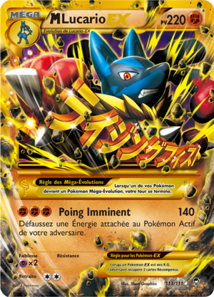 Carte XY Poings Furieux 113.png