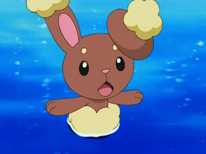 DP113 - Laporeille d'Aurore.png