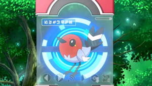 XY003 - Passerouge Pokédex.png