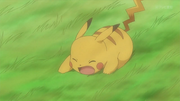 Pikachu(de Sacha)