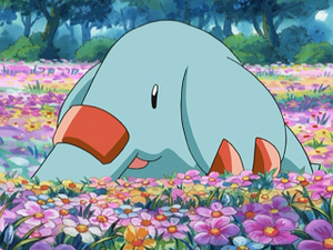 AG137 - Phanpy de Sacha.png