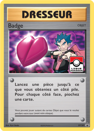 Carte Promo XY XY207.png