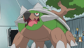 ► Torterra (de Sacha)