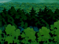 La Forêt de Jade dans l'épisode 4.