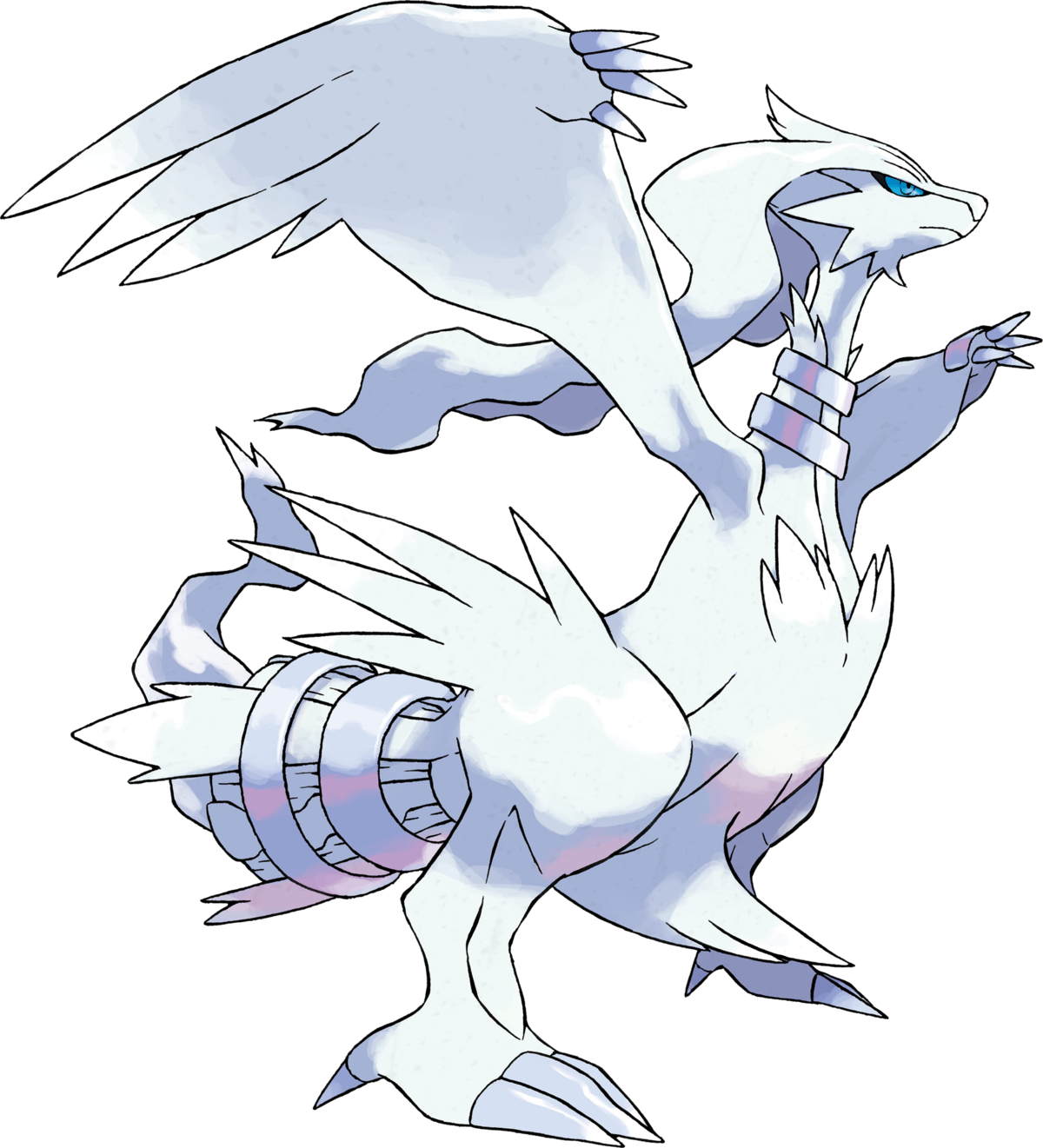 Dessin Pokemon Legendaire En Couleur Reshiram — Poképédia