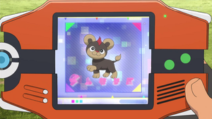 XY097 - Hélionceau Pokédex.png