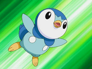 DP005 - Tiplouf d'Aurore.png