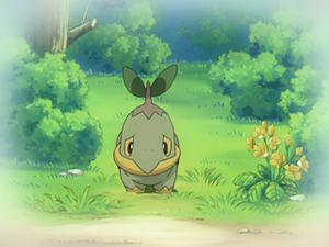 DP005 - Tortipouss (Flash-back).png
