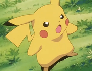 Pikachu(de Sacha)