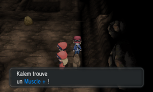 Grotte Coda Muscle + XY.png