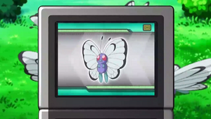 NB130 - Papilusion Pokédex.png