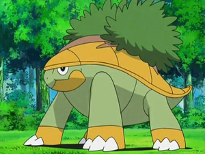 DP121 - Boskara de Sacha.png