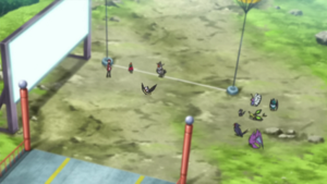XY077 - Hélédelle, Vibraninf et Rhinolove d'un Dresseur.png
