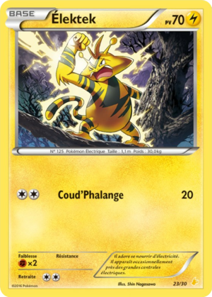 Carte XY Kit du Dresseur Pikachu Catcheur 23.png