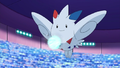 Togekiss (d'Aurore)