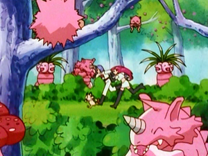 EP088 - Noadkoko et Rhinoféros.png