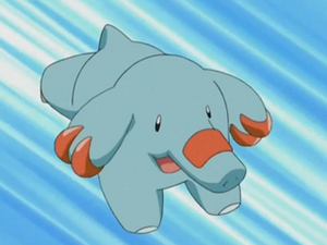 EP265 - Phanpy de Sacha.png