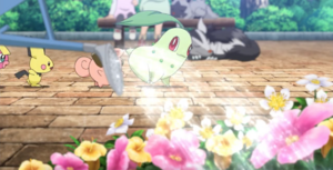 Germignon de Dresseur - Film 20.png