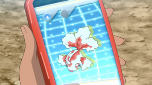LV024 - Poissirène Pokédex.png