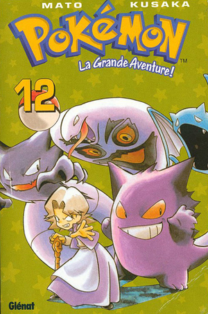 PGA-V12-FR.png